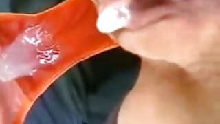 سلٹی ایشین میگومی ہا ...
