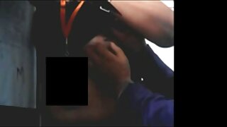 کائیا لن نے کتے کی ح ...
