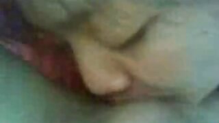 بلی کا تازہ گوشت لور ...